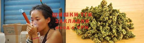 спиды Горняк