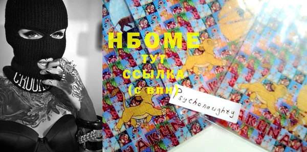 прущая мука Вяземский