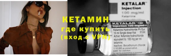прущая мука Вяземский