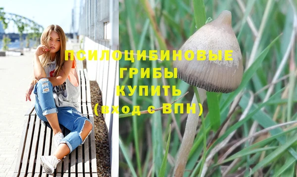 прущая мука Вяземский
