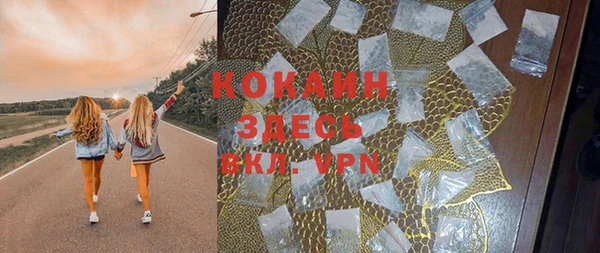 прущая мука Вяземский