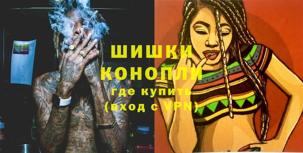 прущая мука Вяземский