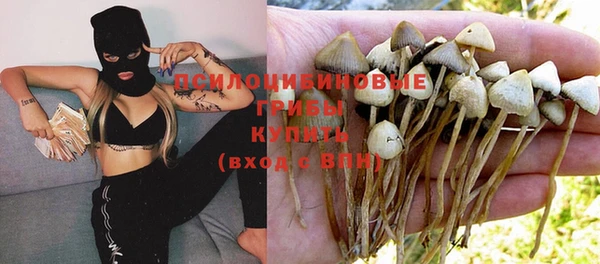 а пвп мука Вязьма