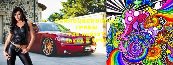 спиды Горняк