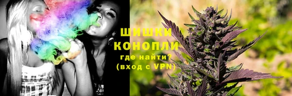прущая мука Вяземский